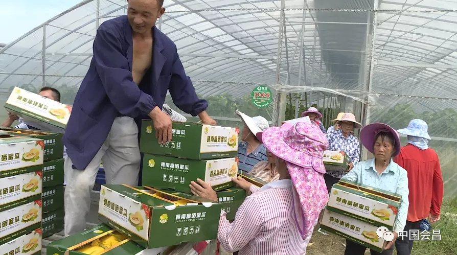 莲雨富硒产品(富硒莲液酒绿色经典)-硒宝网