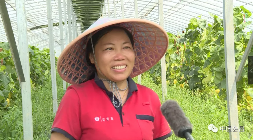 莲雨富硒产品(富硒莲液酒绿色经典)-硒宝网