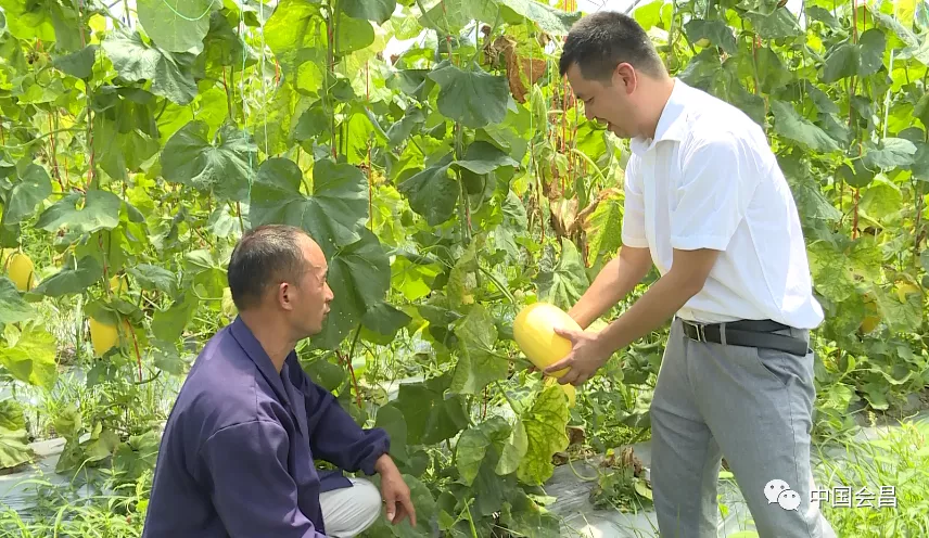 莲雨富硒产品(富硒莲液酒绿色经典)-硒宝网