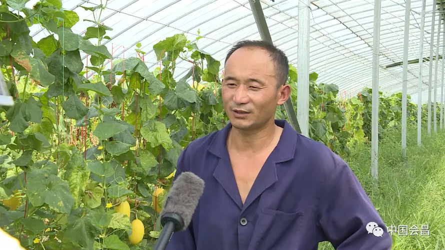 莲雨富硒产品(富硒莲液酒绿色经典)-硒宝网