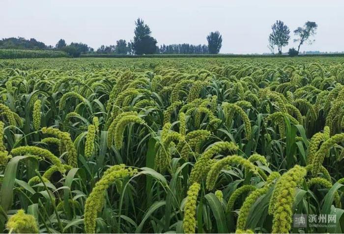 富硒产品检验(富硒产品怎么检验)-硒宝网