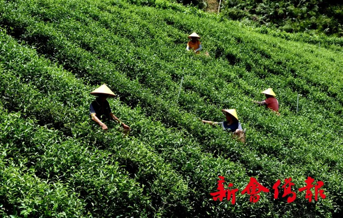 富硒土地产品(土地富硒产品有哪些)-硒宝网