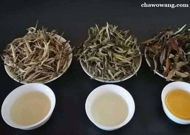 安康市富硒茶(安康富硒茶发展情况)-硒宝网