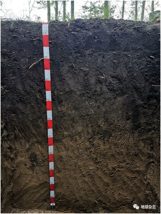 农产品富硒土(农土富硒产品有哪些)-硒宝网