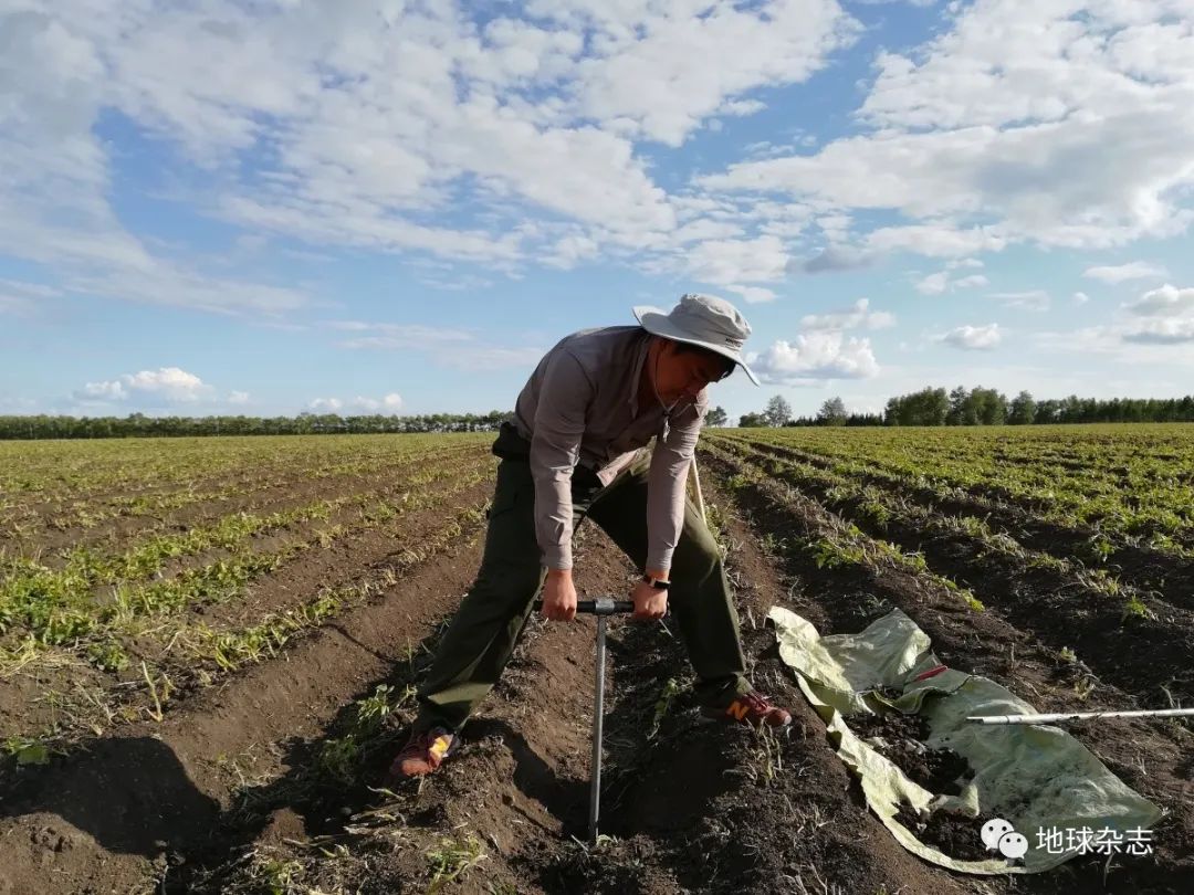 农产品富硒土(农土富硒产品有哪些)-硒宝网