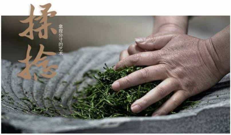 富硒茶的买点(富硒茶种类)-硒宝网