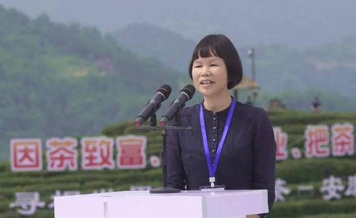 富硒茶的开发(富硒茶产业)-硒宝网