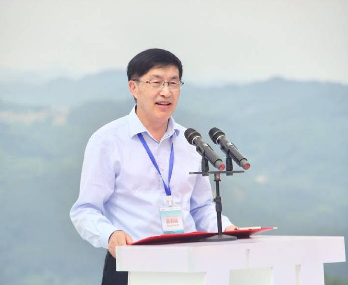 富硒茶的开发(富硒茶产业)-硒宝网