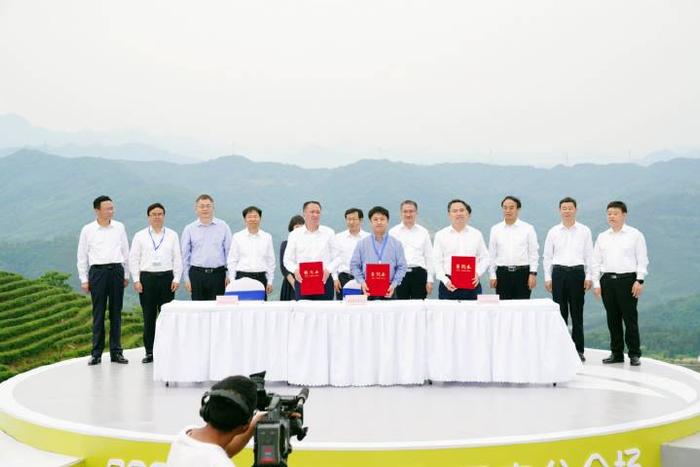 富硒茶的开发(富硒茶产业)-硒宝网