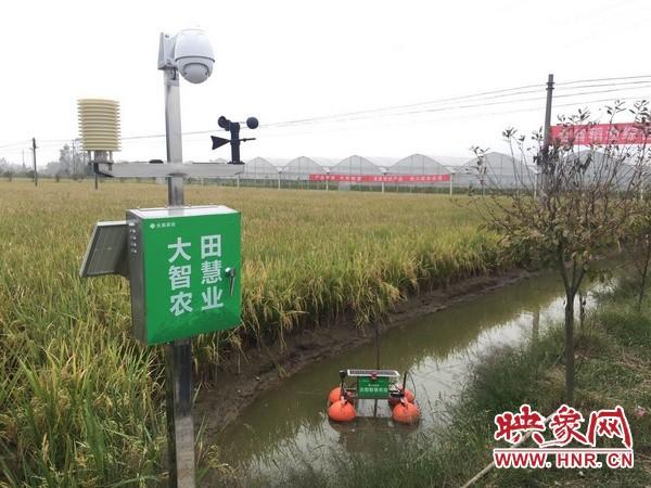 茶籽富硒湖南（湖南富硒产品平台）-硒宝网