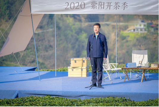 紫阳富硒茶节（紫阳富硒茶园）-硒宝网