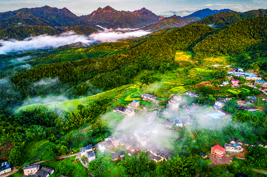 蕉岭县富硒茶（蕉岭富硒水）-硒宝网