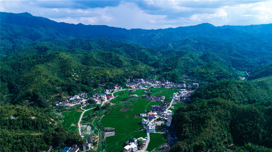 蕉岭县富硒茶（蕉岭富硒水）-硒宝网