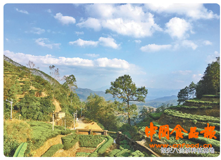 珍硒茶富硒茶（富硒茶蔬片的功效）-硒宝网