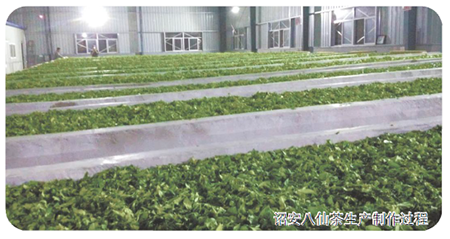 珍硒茶富硒茶（富硒茶蔬片的功效）-硒宝网