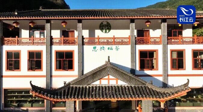 茶恩施富硒茶(恩施富硒茶是什么意思)-硒宝网