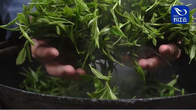 茶恩施富硒茶(恩施富硒茶是什么意思)-硒宝网