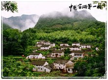 富硒茶权威性（富硒茶种类）-硒宝网