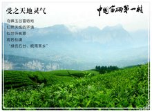 富硒茶权威性（富硒茶种类）-硒宝网