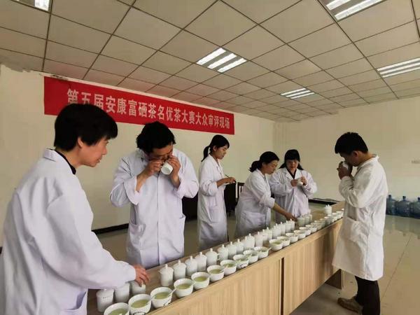 安康富硒茯茶(安康富硒茶多少钱一斤汗水晨雾)-硒宝网