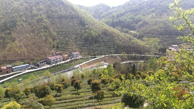 秦硒源富硒茶(富硒茶庄)-硒宝网