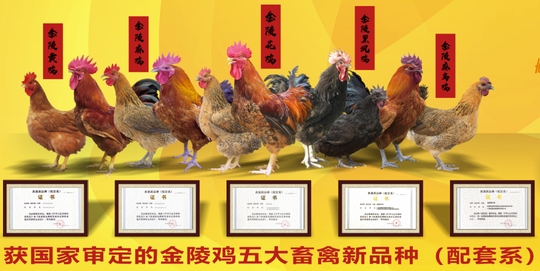 广西 富硒茶（富硒茶价格表）-硒宝网