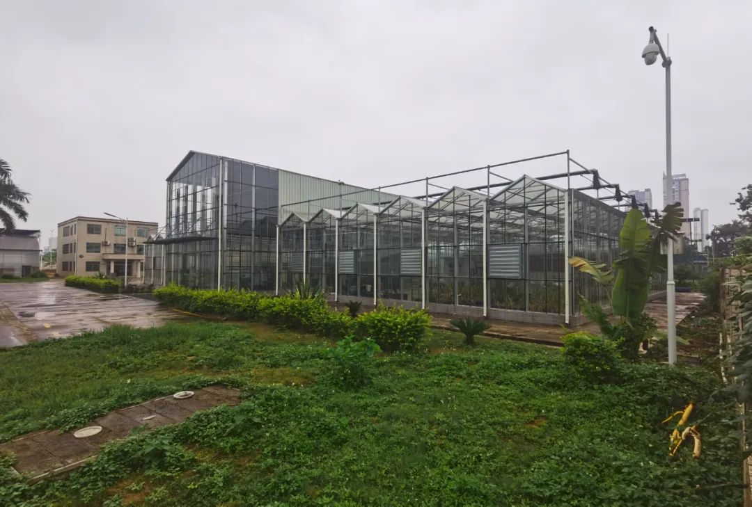 广西 富硒茶（富硒茶价格表）-硒宝网