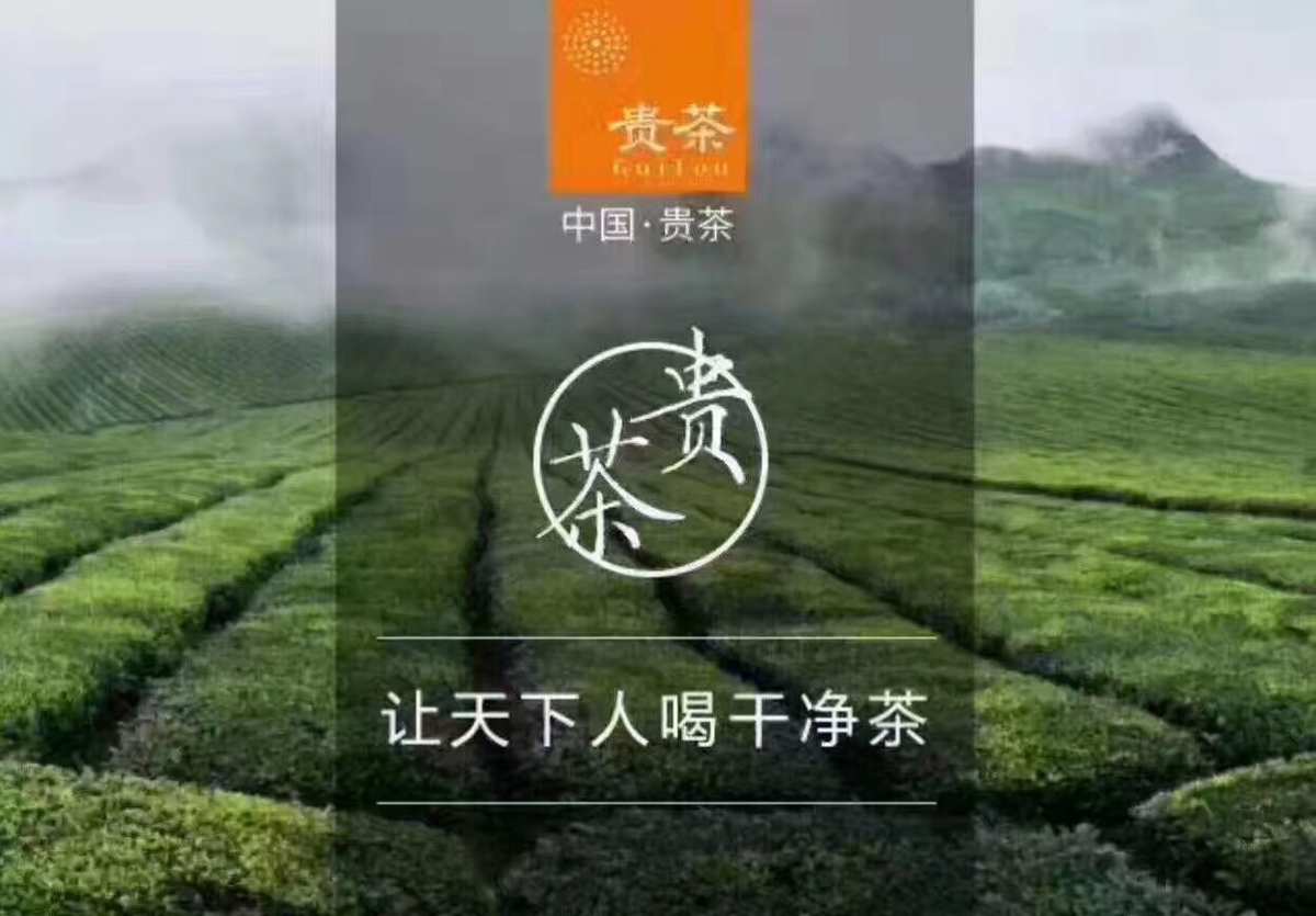 茶籽富硒湖南（湘西富硒茶）-硒宝网
