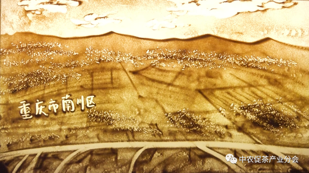 富硒茶ppm(茶富硒标准含量)-硒宝网