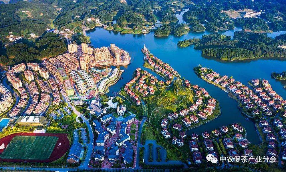 富硒茶ppm(茶富硒标准含量)-硒宝网