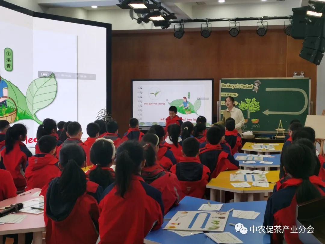 富硒茶ppm(茶富硒标准含量)-硒宝网