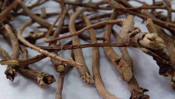 武汉 富硒茶（湖北富硒茶的功效与作用）-硒宝网