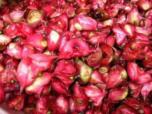 武汉 富硒茶（湖北富硒茶的功效与作用）-硒宝网