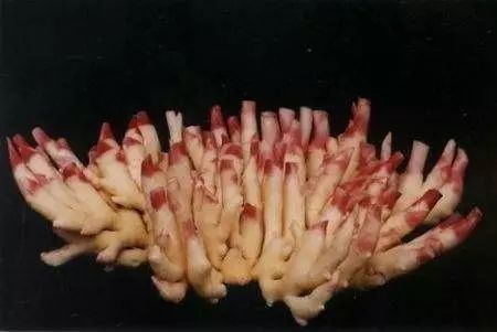 武汉 富硒茶（湖北富硒茶的功效与作用）-硒宝网