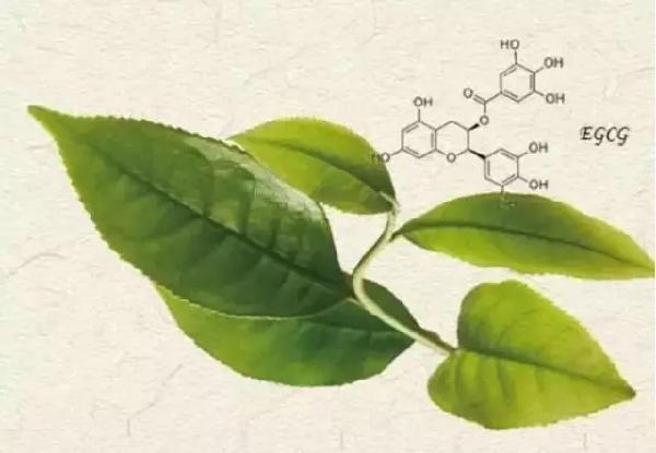 聚硒康富硒茶(聚硒健康产业集团)-硒宝网