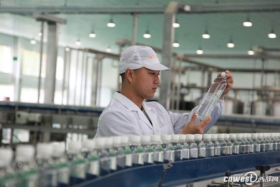 富硒茶ppm（茶富硒绿茶）-硒宝网