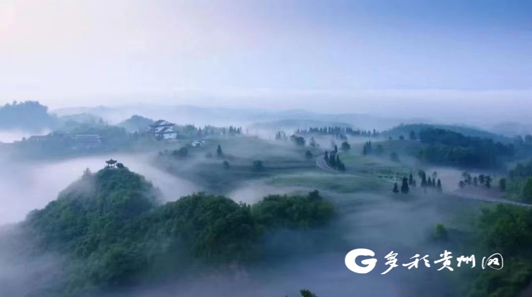 开阳 富硒茶（开阳富硒茶地理标志）-硒宝网