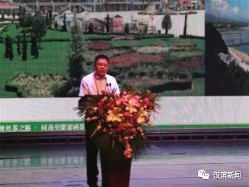 汉滨区富硒茶（汉阴富硒茶）-硒宝网