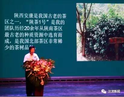 汉滨区富硒茶（汉阴富硒茶）-硒宝网