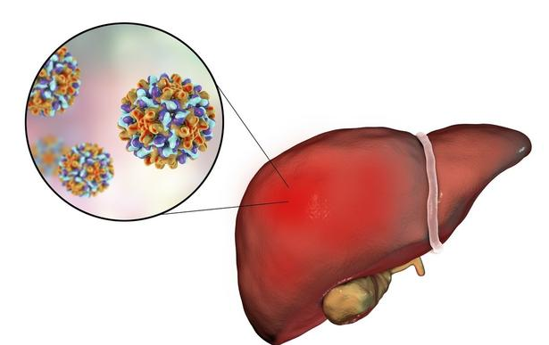富硒茶 肝脏（富硒茶对肝有好处吗）-硒宝网