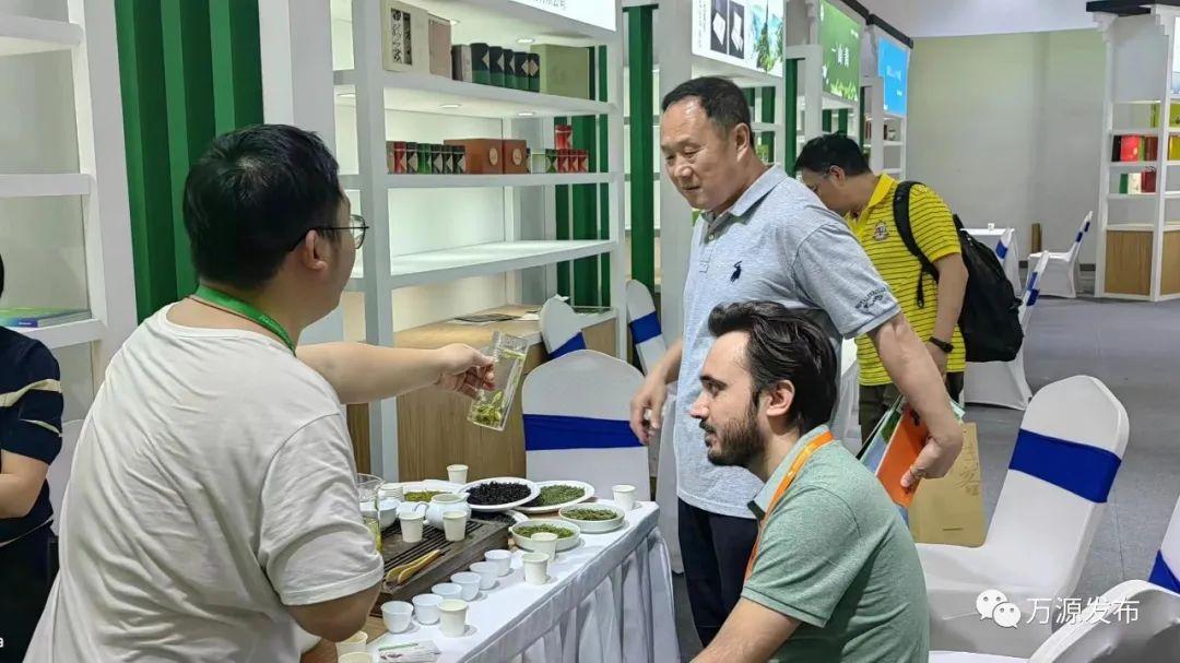 富硒茶 有机(富硒茶杯骗局)-硒宝网