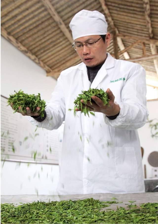 长阳茶 富硒(武阳富硒茶)-硒宝网