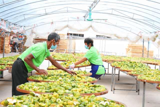 李时珍富硒茶（李时珍养生茶怎么样）-硒宝网