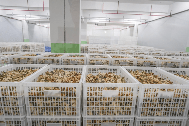 李时珍富硒茶（李时珍养生茶怎么样）-硒宝网