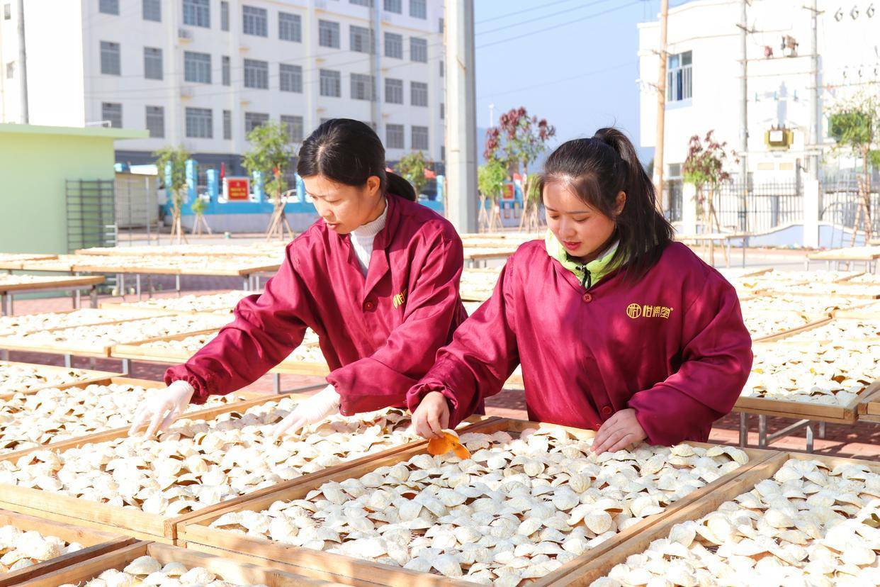 李时珍富硒茶（李时珍养生茶怎么样）-硒宝网