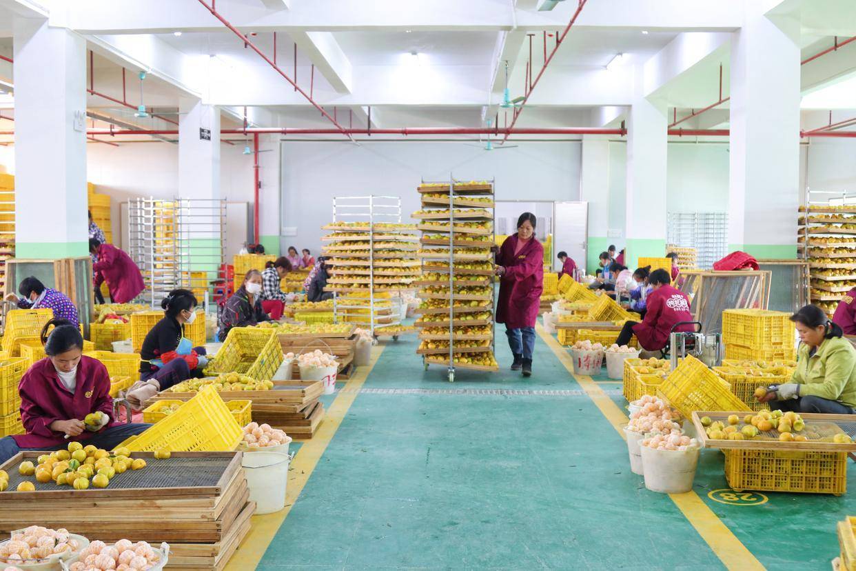 李时珍富硒茶（李时珍养生茶怎么样）-硒宝网