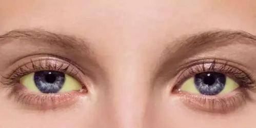 富硒茶 肝脏（富硒茶好吗）-硒宝网