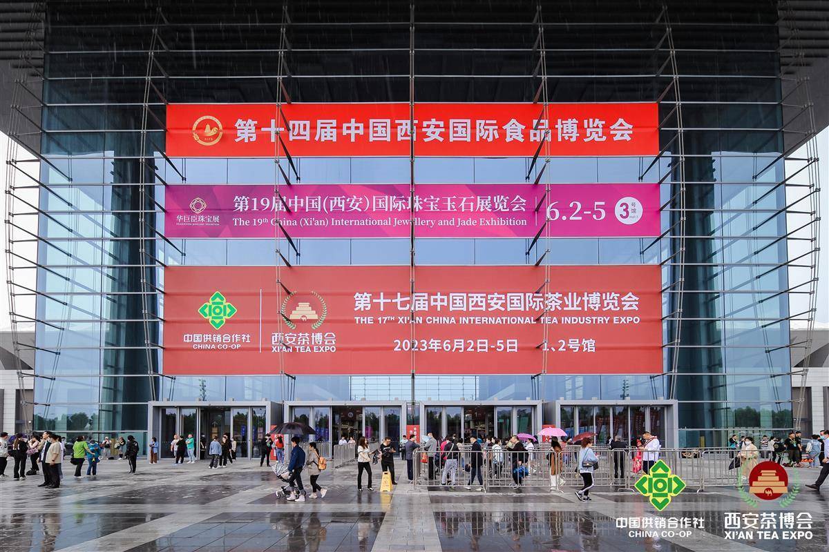 富硒茶 玉露(恩施玉露富硒茶多少钱)-硒宝网