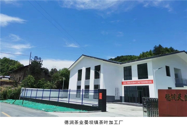 汉滨区富硒茶(汉中富硒绿茶)-硒宝网