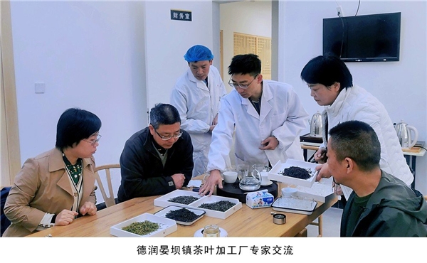 汉滨区富硒茶(汉中富硒绿茶)-硒宝网